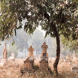 قبرستان نیکلسون دهلی هند 